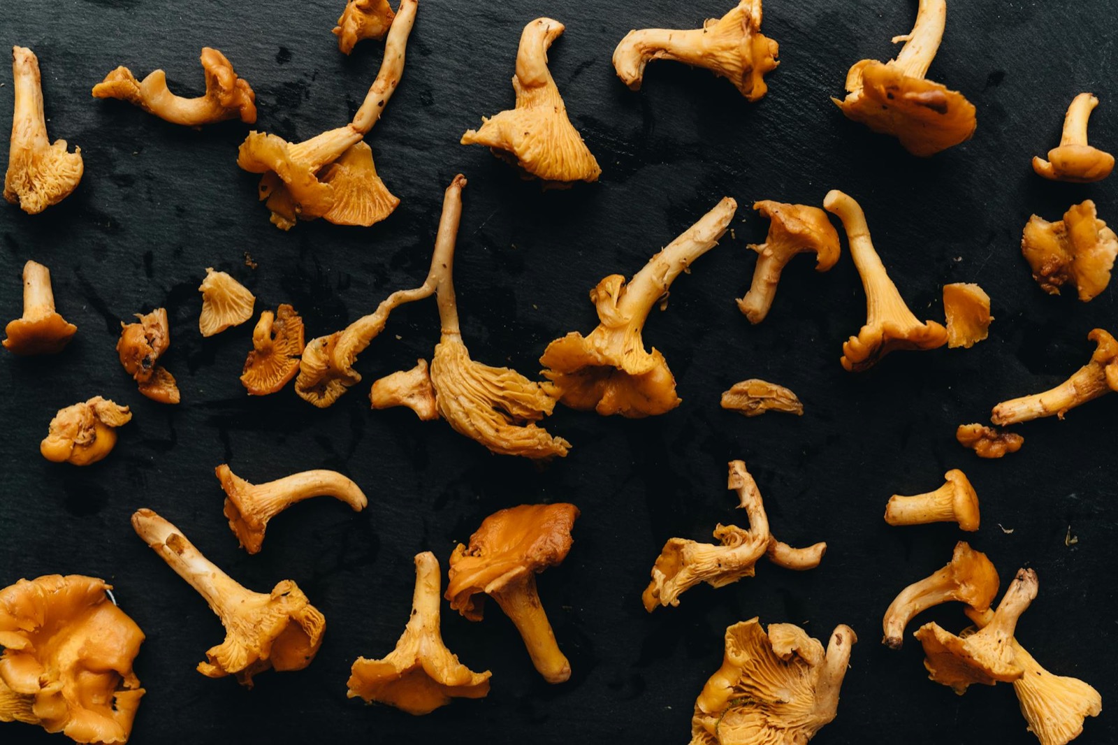 Foraged Rocky Mountain wild mushrooms used in Bosq Aspen tasting menu